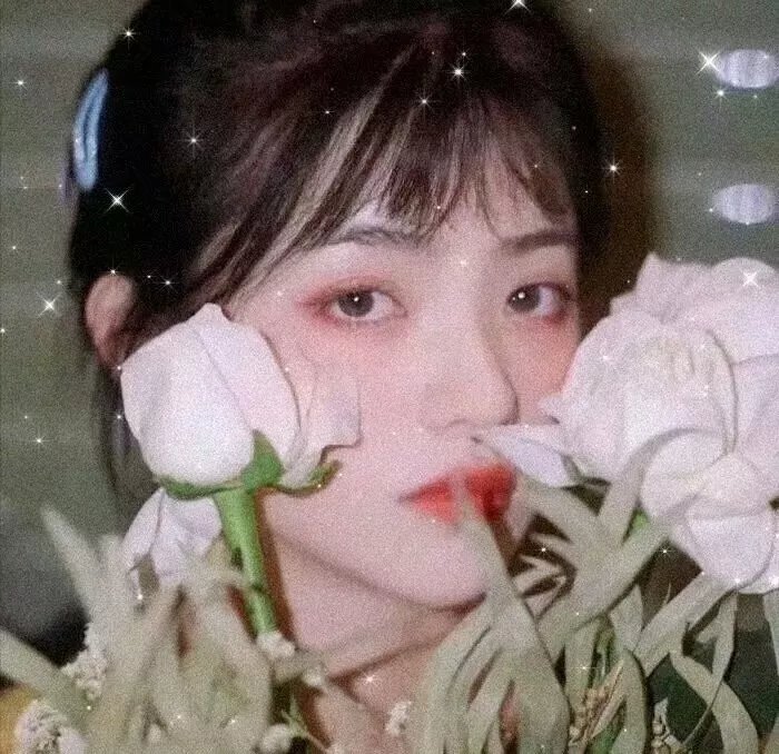 巫毒少女 海报
