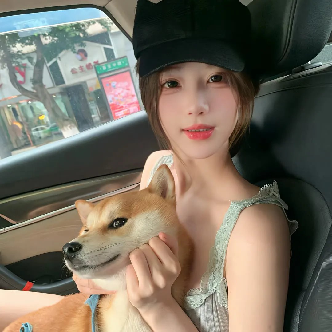 疯狂丑小鸭 海报